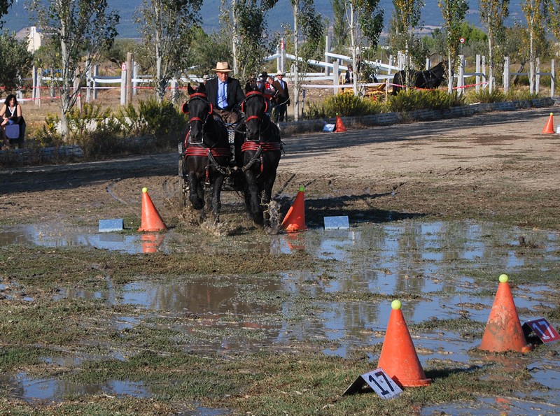 David Aramendía y Carmen Goiburu, Campeones Navarros de Enganches Completo en Troncos y Limoneras
